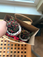 Load image into Gallery viewer, Mini Basket Pattern